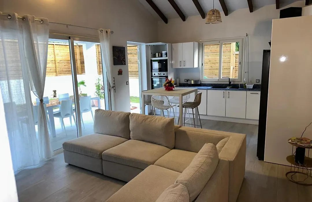 Le Papillon Tropical , aile droite-1
