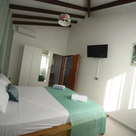 Le Papillon Tropical , aile droite-2